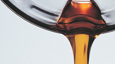 The Origin of Oil
