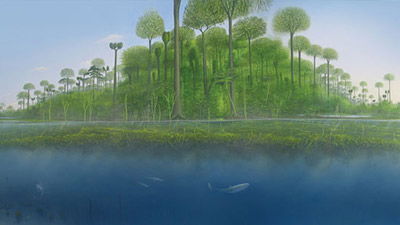 Sinking a Floating Forest