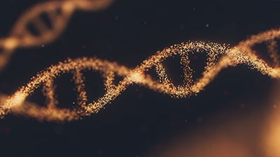 From Adam to You: Genetics Supports a Young Earth